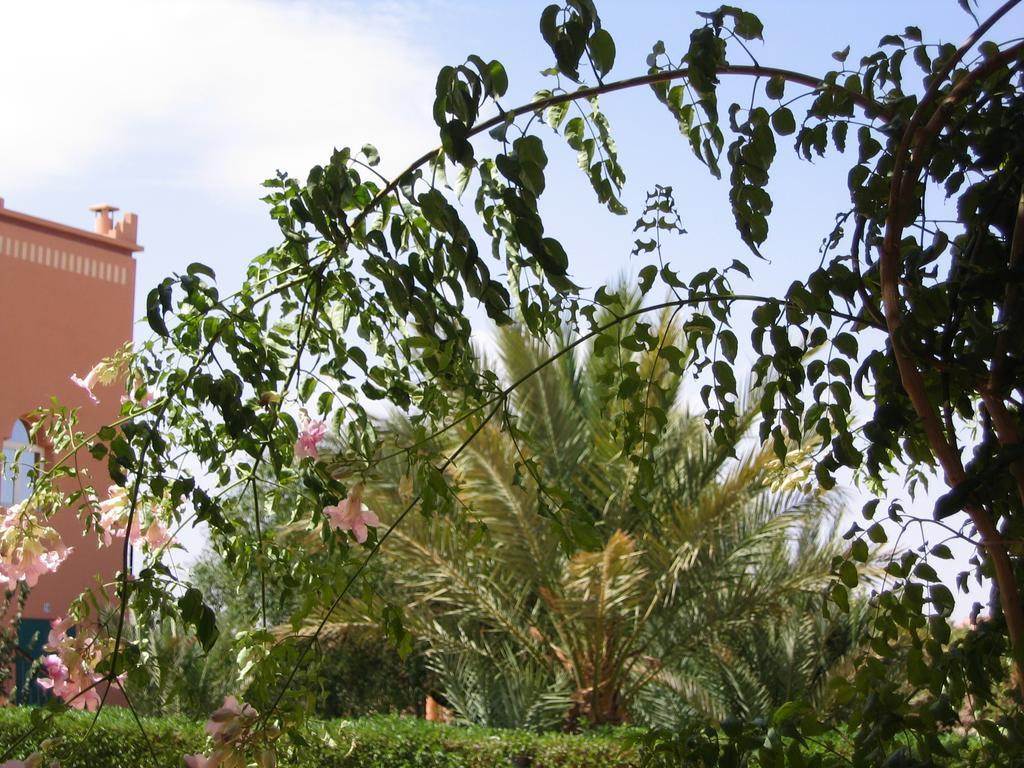 Les Tourmalines Bed and Breakfast Afeggou Buitenkant foto