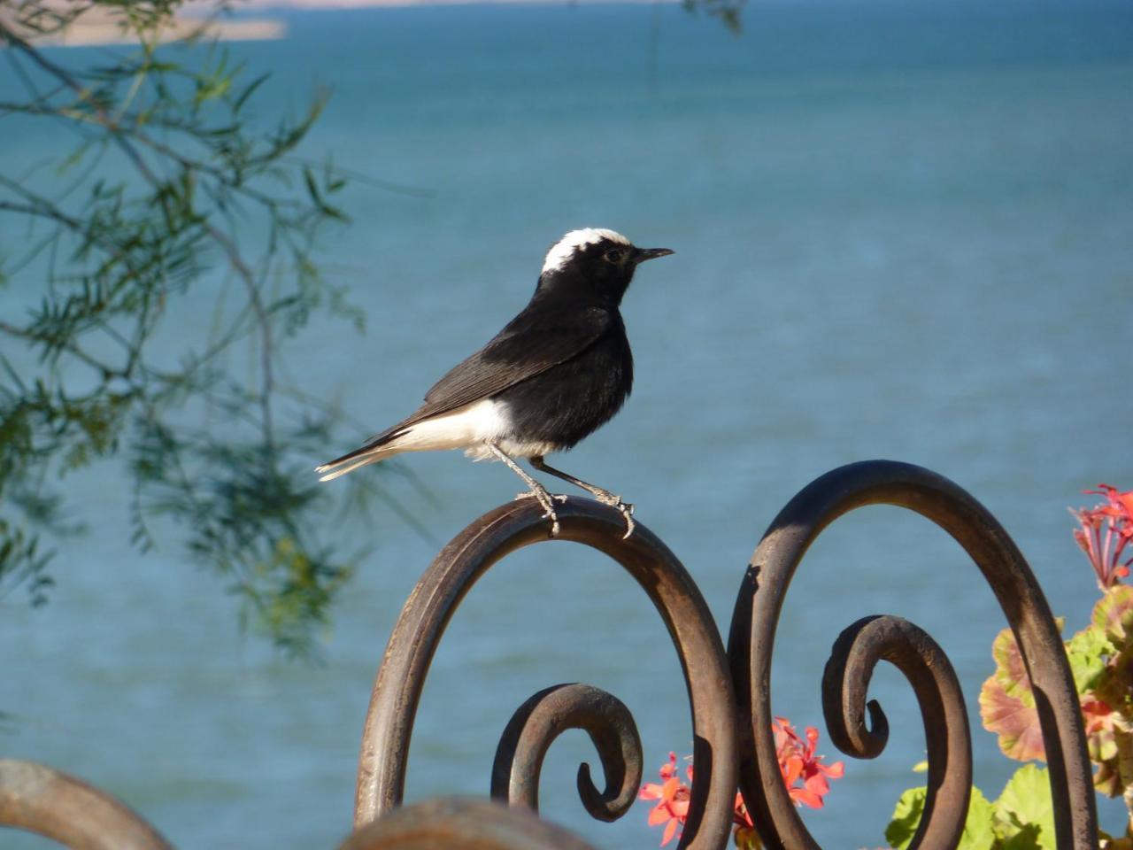 Les Tourmalines Bed and Breakfast Afeggou Buitenkant foto